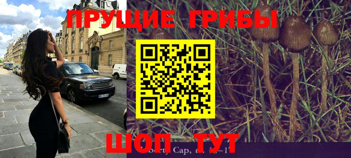 Псилоцибиновые грибы Cubensis  Вход с VPN  Белогорск 