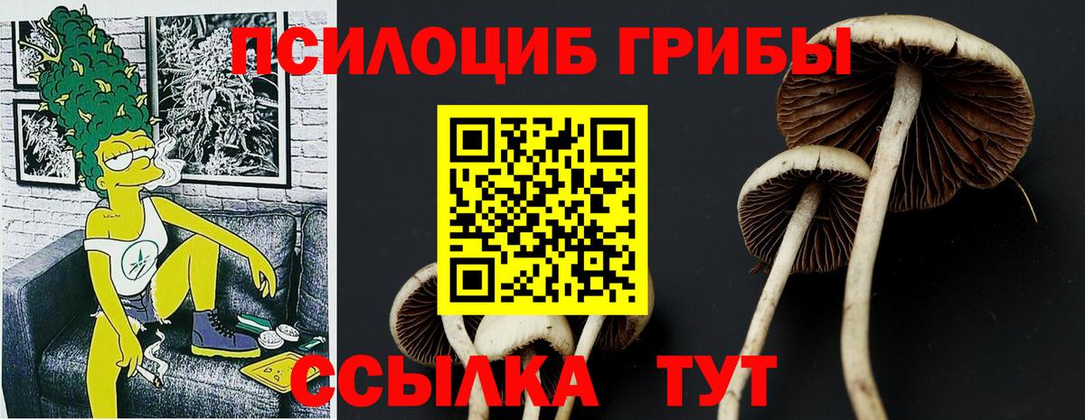 Галлюциногенные грибы ЛСД Белогорск